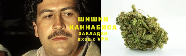 PSILOCYBIN Козловка