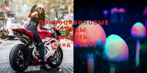 PSILOCYBIN Козловка