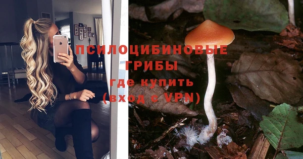 mdpv Козельск
