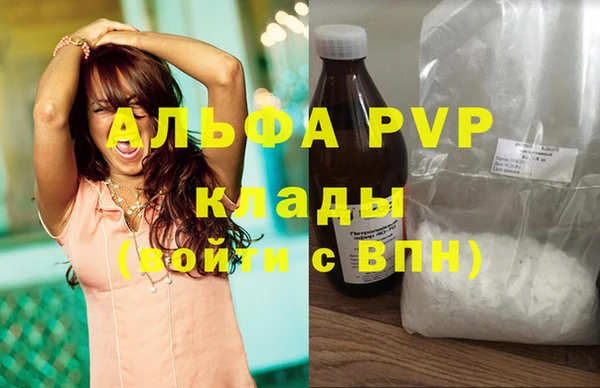 PSILOCYBIN Козловка