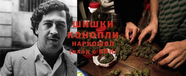 PSILOCYBIN Козловка