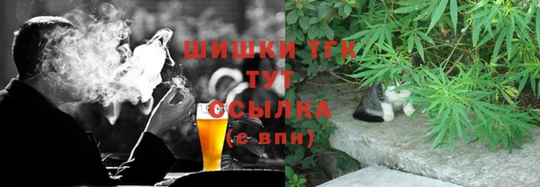 PSILOCYBIN Козловка