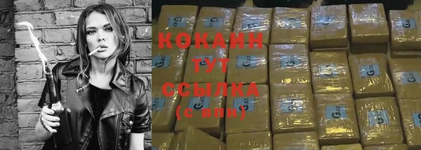 mdpv Козельск