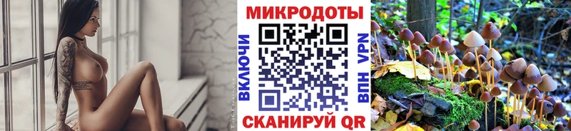 Псилоцибиновые грибы Cubensis  Купить где  Котово 